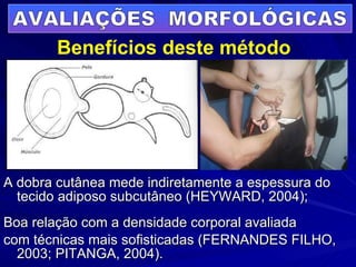 A dobra cutânea mede indiretamente a espessura do tecido adiposo subcutâneo (HEYWARD, 2004); Boa relação com a densidade corporal avaliada  com técnicas mais sofisticadas (FERNANDES FILHO, 2003; PITANGA, 2004). AVALIAÇÕES  MORFOLÓGICAS Benefícios deste método 