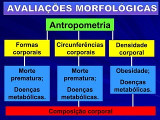 AVALIAÇÕES MORFOLÓGICAS Antropometria Formas corporais Circunferências  corporais Densidade corporal Morte prematura; Doenças metabólicas. Morte prematura; Doenças metabólicas. Obesidade; Doenças metabólicas. Composição corporal 