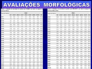 AVALIAÇÕES  MORFOLÓGICAS 