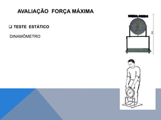 AVALIAÇÃO FORÇA MÁXIMA
 TESTE ESTÁTICO
DINAMÔMETRO
 