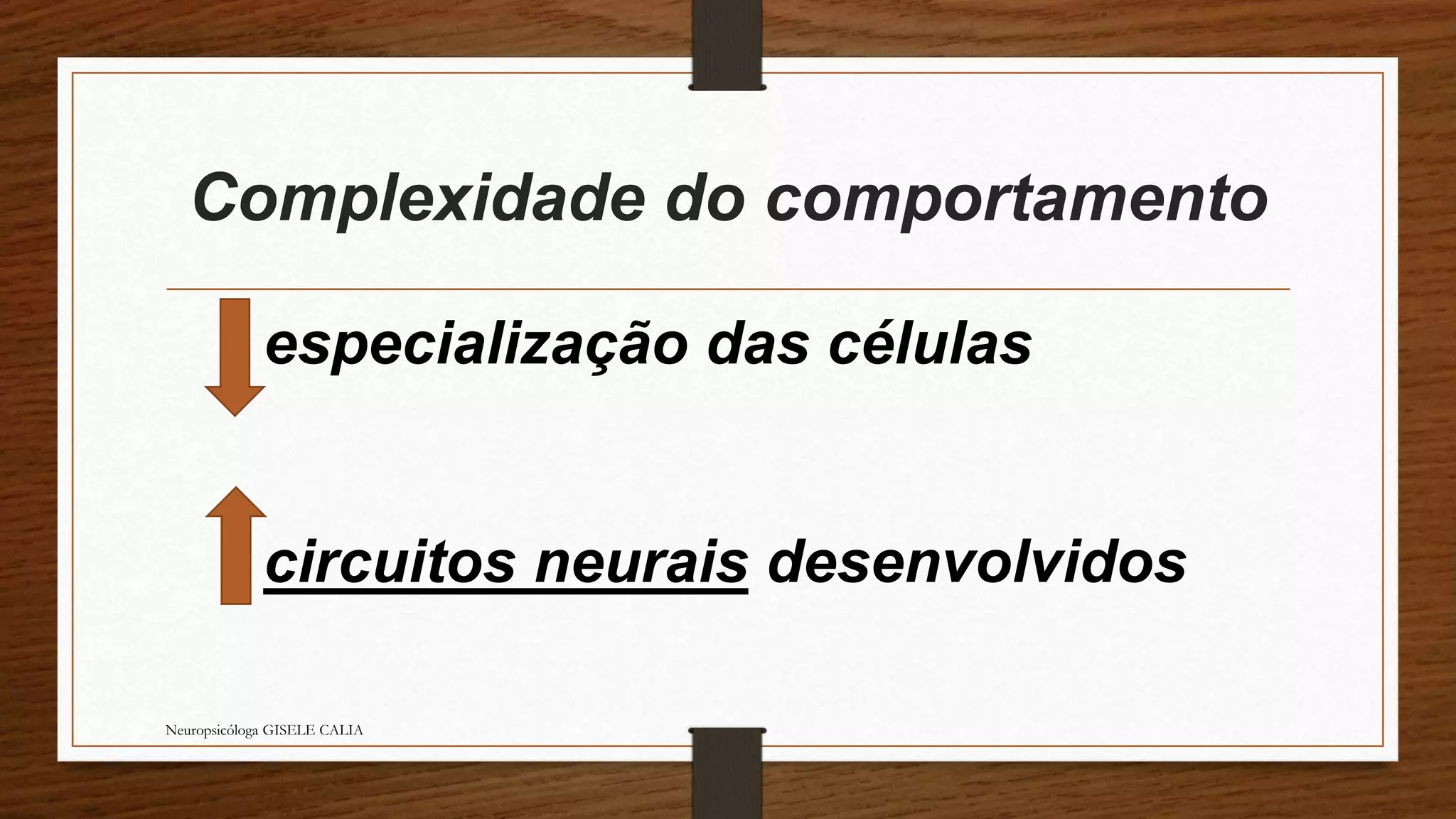 Complexidade do comportamento 
especialização das células 
circuitos neurais desenvolvidos 
Neuropsicóloga GISELE CALIA 
 