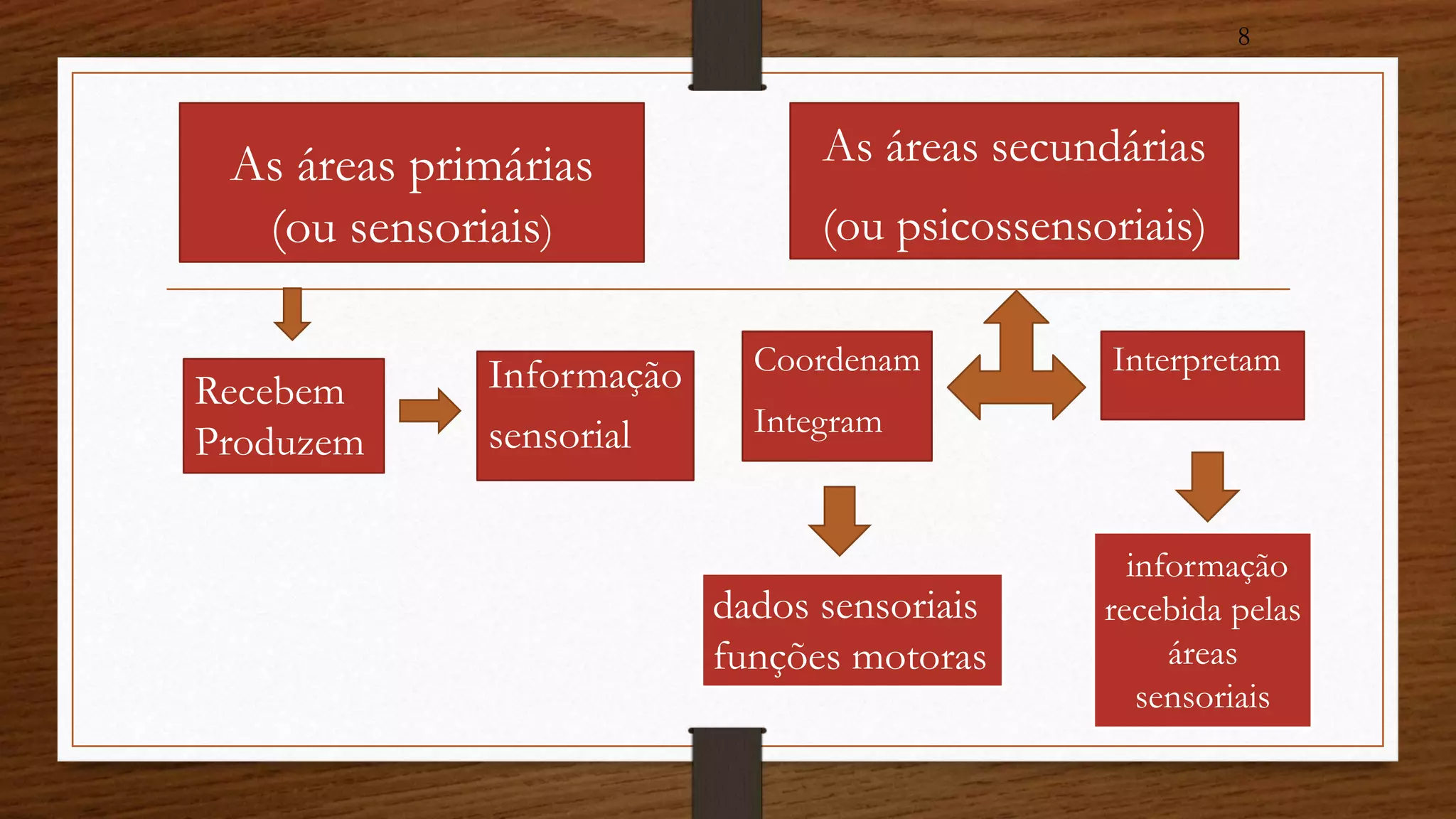 As áreas primárias 
(ou sensoriais) 
Informação 
sensorial 
As áreas secundárias 
(ou psicossensoriais) 
Coordenam 
Integram 
Recebem 
Produzem 
dados sensoriais 
funções motoras 
8 
Interpretam 
informação 
recebida pelas 
áreas 
sensoriais 
 