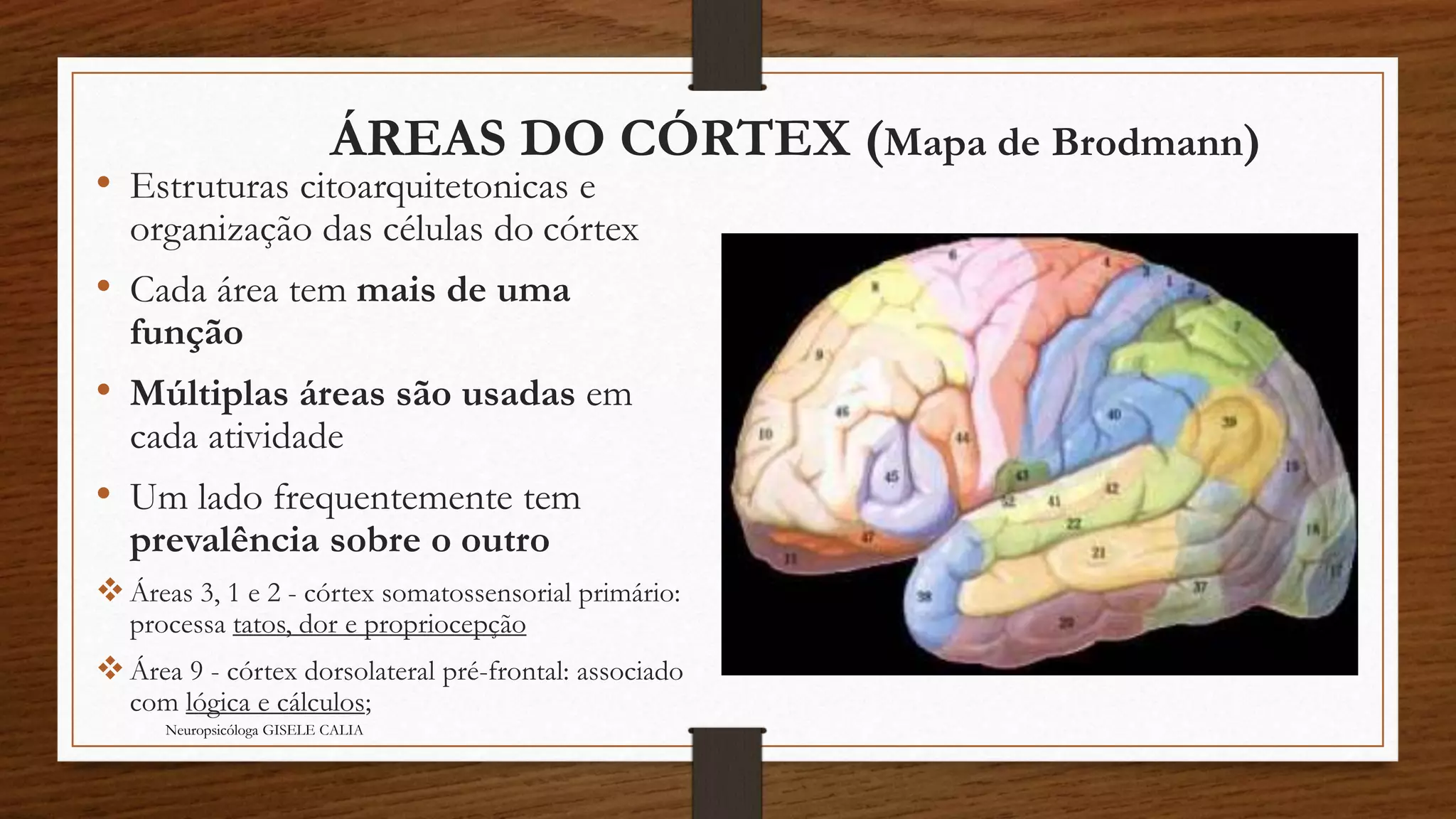 ÁREAS DO CÓRTEX (Mapa de Brodmann) 
• Estruturas citoarquitetonicas e 
organização das células do córtex 
• Cada área tem mais de uma 
função 
• Múltiplas áreas são usadas em 
cada atividade 
• Um lado frequentemente tem 
prevalência sobre o outro 
 Áreas 3, 1 e 2 - córtex somatossensorial primário: 
processa tatos, dor e propriocepção 
 Área 9 - córtex dorsolateral pré-frontal: associado 
com lógica e cálculos; 
Neuropsicóloga GISELE CALIA 
 