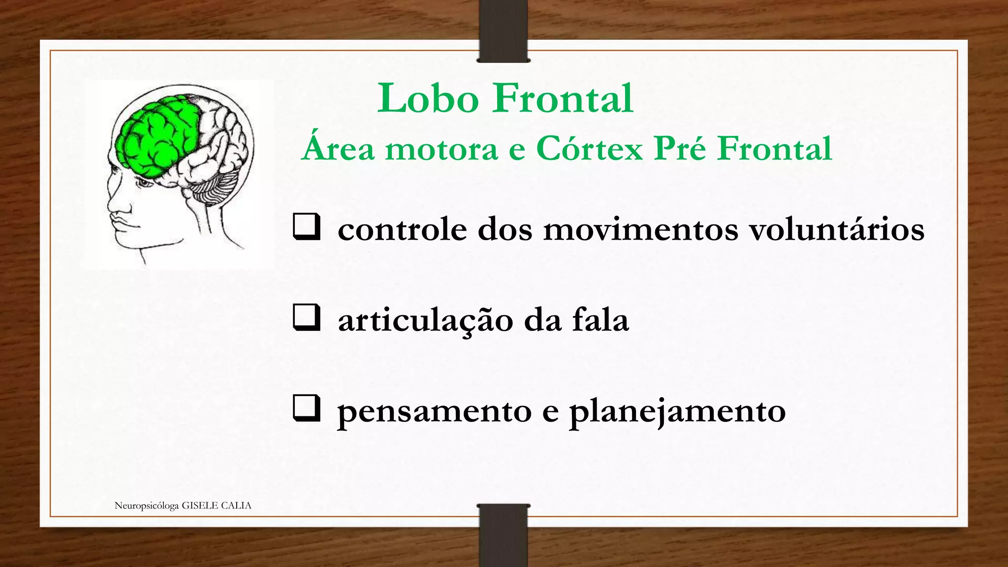 Lobo Frontal 
Área motora e Córtex Pré Frontal 
 controle dos movimentos voluntários 
 articulação da fala 
 pensamento e planejamento 
Neuropsicóloga GISELE CALIA 
 