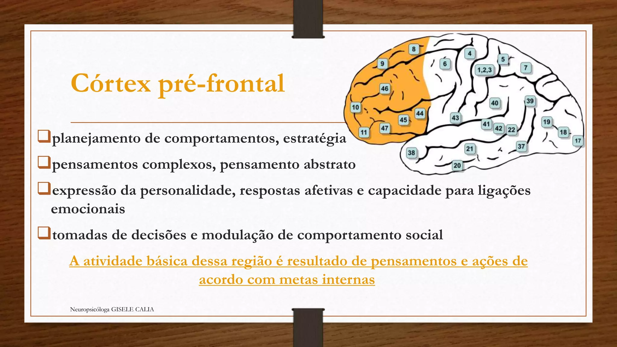 Córtex pré-frontal 
planejamento de comportamentos, estratégia 
pensamentos complexos, pensamento abstrato 
expressão da personalidade, respostas afetivas e capacidade para ligações 
emocionais 
tomadas de decisões e modulação de comportamento social 
A atividade básica dessa região é resultado de pensamentos e ações de 
acordo com metas internas 
Neuropsicóloga GISELE CALIA 
 