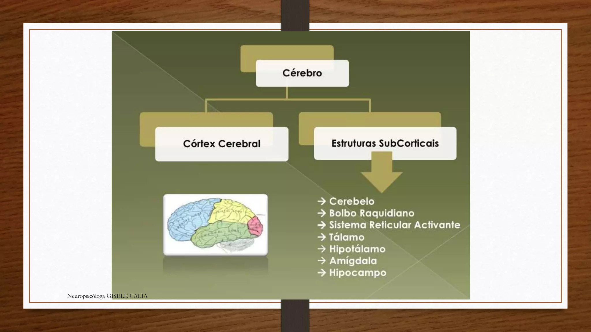 Neuropsicóloga GISELE CALIA 
 