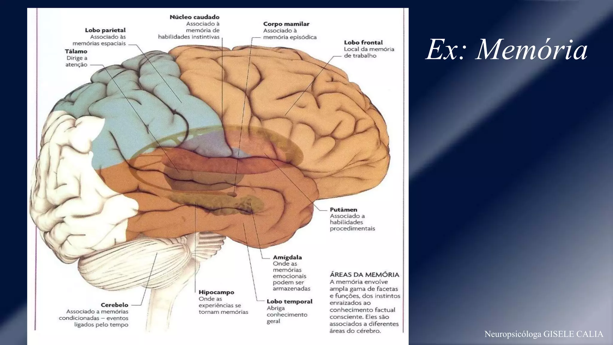 Ex: Memória 
Neuropsicóloga GISELE CALIA 
 
