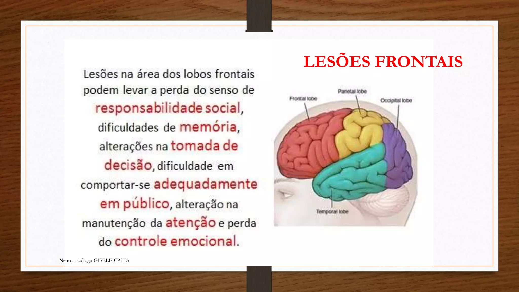 Neuropsicóloga GISELE CALIA 
LESÕES FRONTAIS 
 