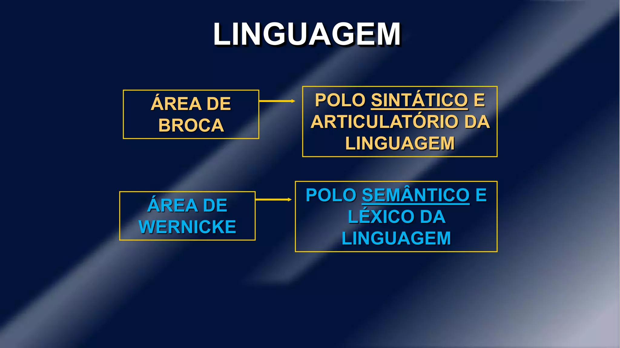 LINGUAGEM 
ÁREA DE 
BROCA 
POLO SINTÁTICO E 
ARTICULATÓRIO DA 
LINGUAGEM 
ÁREA DE 
WERNICKE 
POLO SEMÂNTICO E 
LÉXICO DA 
LINGUAGEM 
 