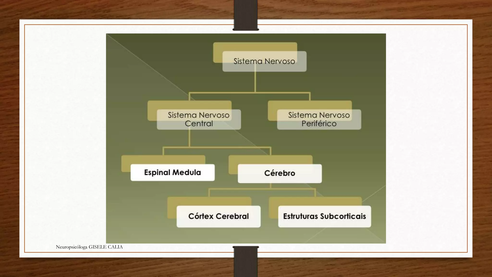 Neuropsicóloga GISELE CALIA 
 