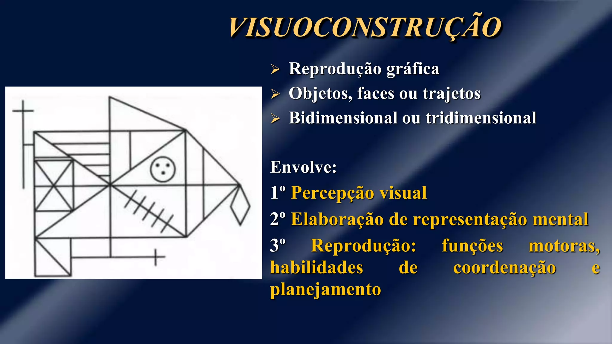 VISUOCONSTRUÇÃO 
 Reprodução gráfica 
 Objetos, faces ou trajetos 
 Bidimensional ou tridimensional 
Envolve: 
1º Percepção visual 
2º Elaboração de representação mental 
3º Reprodução: funções motoras, 
habilidades de coordenação e 
planejamento 
 