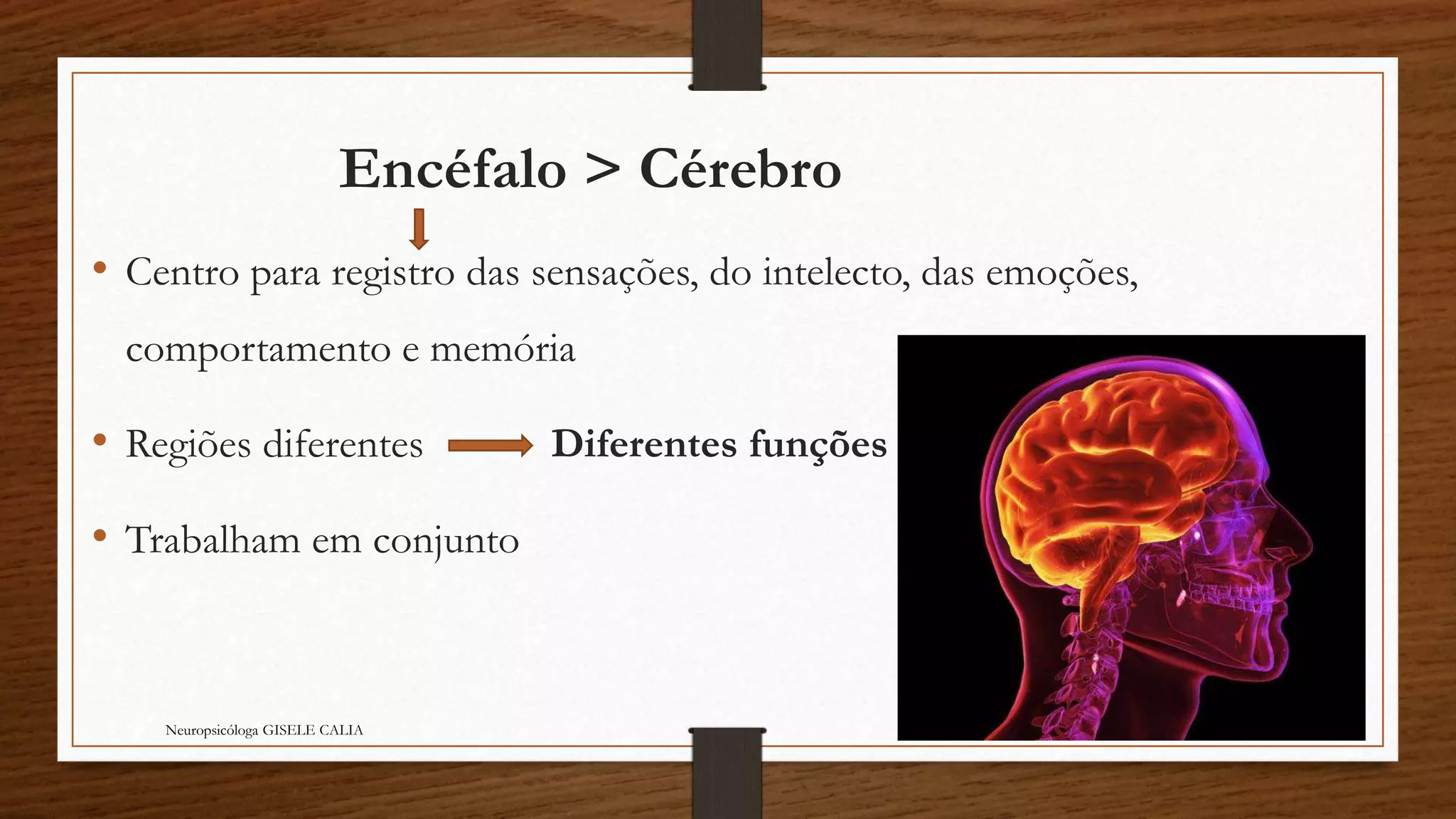 Encéfalo > Cérebro 
• Centro para registro das sensações, do intelecto, das emoções, 
comportamento e memória 
• Regiões diferentes Diferentes funções 
• Trabalham em conjunto 
Neuropsicóloga GISELE CALIA 
 