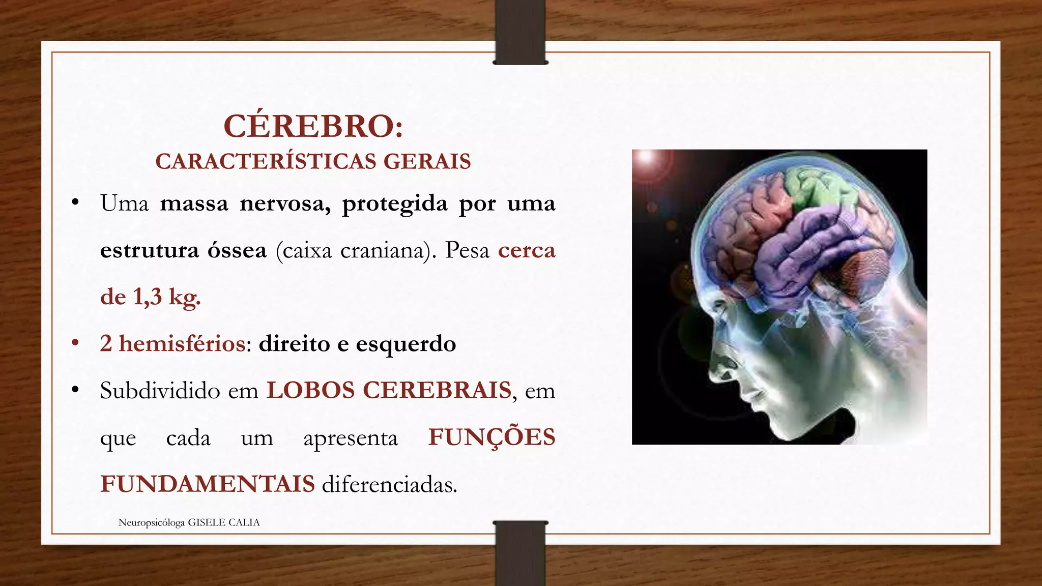 CÉREBRO: 
CARACTERÍSTICAS GERAIS 
• Uma massa nervosa, protegida por uma 
estrutura óssea (caixa craniana). Pesa cerca 
de 1,3 kg. 
• 2 hemisférios: direito e esquerdo 
• Subdividido em LOBOS CEREBRAIS, em 
que cada um apresenta FUNÇÕES 
FUNDAMENTAIS diferenciadas. 
Neuropsicóloga GISELE CALIA 
 