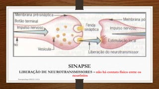 SINAPSE 
LIBERAÇÃO DE NEUROTRANSMISSORES – não há contato físico entre os 
neurônios 
Neuropsicóloga GISELE CALIA 
 