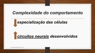 Complexidade do comportamento 
especialização das células 
circuitos neurais desenvolvidos 
Neuropsicóloga GISELE CALIA 
 