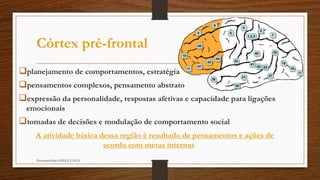 Córtex pré-frontal 
planejamento de comportamentos, estratégia 
pensamentos complexos, pensamento abstrato 
expressão da personalidade, respostas afetivas e capacidade para ligações 
emocionais 
tomadas de decisões e modulação de comportamento social 
A atividade básica dessa região é resultado de pensamentos e ações de 
acordo com metas internas 
Neuropsicóloga GISELE CALIA 
 