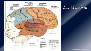 Ex: Memória 
Neuropsicóloga GISELE CALIA 
 