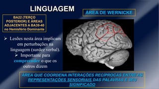 LINGUAGEM 
ÁREA DE WERNICKE 
BA22 (TERÇO 
POSTERIOR) E ÁREAS 
ADJACENTES A BA39-40 
no Hemisfério Dominante 
ÁREA QUE COORDENA INTERAÇÕES RECÍPROCAS ENTRE AS 
REPRESENTAÇÕES SENSORIAIS DAS PALAVRAS E SEU 
SIGNIFICADO 
 Lesões nesta área implicam 
em perturbações na 
linguagem (surdez verbal). 
 Importante para 
compreender o que os 
outros dizem 
 