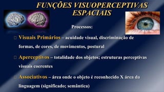 FUNÇÕES VISUOPERCEPTIVAS 
ESPACIAIS 
Processos: 
Visuais Primários – acuidade visual, discriminação de 
formas, de cores, de movimentos, postural 
Aperceptivos – totalidade dos objetos; estruturas perceptivas 
visuais coerentes 
Associativos – área onde o objeto é reconhecido X área da 
linguagem (significado; semântica) 
 