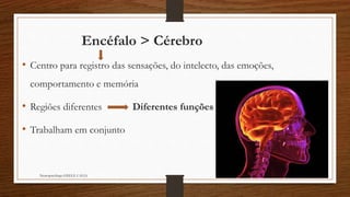 Encéfalo > Cérebro 
• Centro para registro das sensações, do intelecto, das emoções, 
comportamento e memória 
• Regiões diferentes Diferentes funções 
• Trabalham em conjunto 
Neuropsicóloga GISELE CALIA 
 