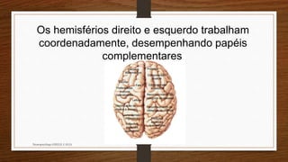 Cérebro e Funções Cognitivas Slide 10