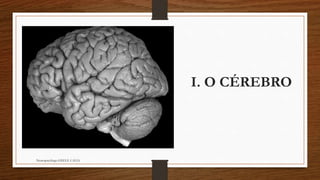 Cérebro e Funções Cognitivas Slide 4