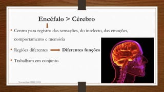 Cérebro e Funções Cognitivas Slide 6