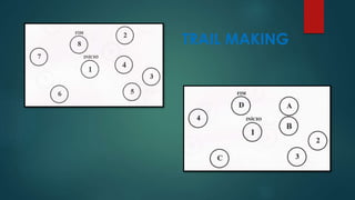 TRAIL MAKING 
 