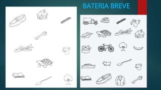 BATERIA BREVE 
 