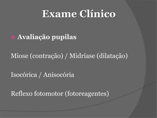 Exame Clínico 
 Avaliação pupilas 
Miose (contração) / Midríase (dilatação) 
Isocórica / Anisocória 
Reflexo fotomotor (fotoreagentes) 
 
