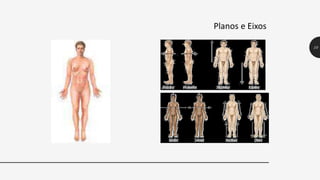 Planos e Eixos
10
 