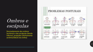 Ombros e
escápulas
Desnivelamento dos ombros
(acrômio) e das escápulas (bordo
inferior); projeções (alinhamento
acrômio/lóbulo da orelha)
19
 