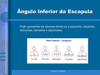 Leonardo Delgado
Ângulo Inferior da Escapula
Ângulo Inferior da Escapula
Pode apresentar-se elevada direita ou a esquerda, aduzidas,
abduzidas, elevadas e deprimidas.
 