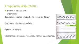 Freqüência Respiratória
 Normal = 12 a 20 rpm
Alterações
Taquipneia – rápida e superficial – cerca de 25 rpm
Bradipneia – lenta e superficial
Apneia – ausência
Hiperpneia – profunda, frequência normal ou aumentada
 