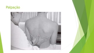 Palpação
 