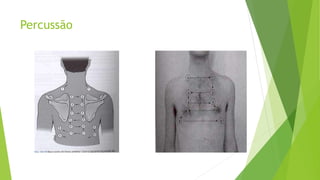 Percussão
 