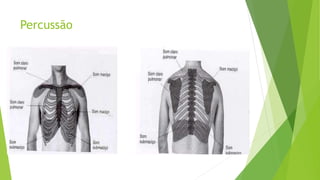 Percussão
 