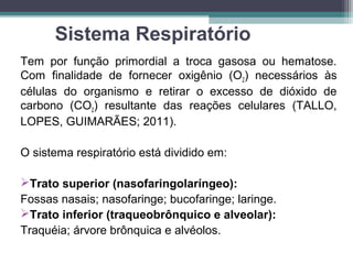 Sistema Respiratório
Tem por função primordial a troca gasosa ou hematose.
Com finalidade de fornecer oxigênio (O2) necessários às
células do organismo e retirar o excesso de dióxido de
carbono (CO2) resultante das reações celulares (TALLO,
LOPES, GUIMARÃES; 2011).
O sistema respiratório está dividido em:
Trato superior (nasofaringolaríngeo):
Fossas nasais; nasofaringe; bucofaringe; laringe.
Trato inferior (traqueobrônquico e alveolar):
Traquéia; árvore brônquica e alvéolos.
 