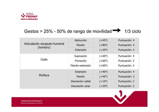 Gestos  25% - 50% de rango de movilidad 1/3 ciclo 
Articulación escapulo-humeral 
(hombro) 
Abducción (+45º) Puntuación: 4 
Flexión (+80º) Puntuación: 4 
Extensión (+20º) Puntuación: 4 
Codo 
Supinación (+60º) Puntuación: 4 
Pronación (+60º) Puntuación: 2 
Flexión-extensión (+60º) Puntuación: 2 
Muñeca 
Extensión (+45º) Puntuación: 4 
Flexión (+45º) Puntuación: 3 
Desviación radial (+15º) Puntuación: 2 
Desviación ulnar (+20º) Puntuación: 2 
 