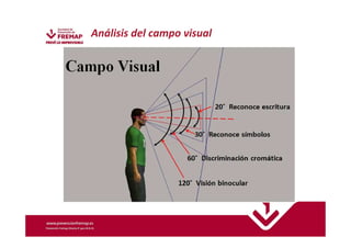 Análisis del campo visual 
 