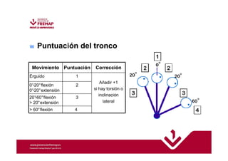 w Puntuación del tronco 
Movimiento Puntuación Corrección 
Erguido 1 
Añadir +1 
si hay torsión o 
inclinación 
lateral 
0°-20°flexión 
0°-20°extensión 
2 
20°-60°flexión 
 20°extensión 
3 
 60°flexión 4 
 