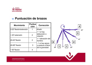 w Puntuación de brazos 
Movimiento 
Puntua 
ción 
Corrección 
0-20°flexión/extensión 1 Añadir: 
+ 1 si hay 
abducción o 
rotación 
+ 1 elevación del 
hombro 
- 1 si hay apoyo 
o postura a favor 
de la gravedad 
 20°extensión 2 
20-45°flexión 2 
45-90º flexión 3 
 90°flexión 4 
 
