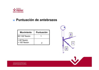 w Puntuación de antebrazos 
Movimiento Puntuación 
60°-100°flexión 1 
 60°flexión 
 100°flexión 2 
 