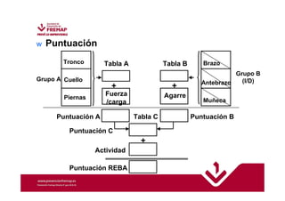 w Puntuación 
Grupo B 
Tronco 
Grupo A Cuello 
(I/D) 
Piernas 
Tabla A Tabla B 
+ + 
Fuerza 
/carga 
Puntuación A Puntuación B 
Puntuación C 
Puntuación REBA 
Agarre 
Tabla C 
+ 
Actividad 
Brazo 
Antebrazo 
Muñeca 
 