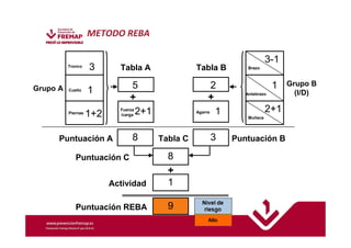 Grupo A 
Grupo B 
(I/D) 
Tronco 
Cuello 
Piernas 
Tabla A Tabla B 
+ + 
Fuerza 
/carga 
Puntuación A Puntuación B 
Puntuación C 
Puntuación REBA 
Agarre 
Tabla C 
+ 
Actividad 
Brazo 
Antebrazo 
Muñeca 
3 
1 
1+2 
5 
2+1 
8 
3-1 
1 
2+1 
2 
1 
3 
8 
1 
9 
METODO REBA 
 
