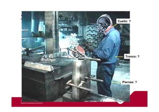 Cuello: ? 
Tronco: ? 
Piernas: ? 
 