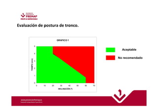 Evaluación de postura de tronco. 
GRÁFICO 1 
5 
4 
3 
2 
1 
0 
0 10 20 30 40 50 60 70 
INCLINACIÓN (º) 
TIEMPO (min) 
Aceptable 
No recomendado 
 