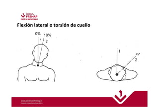 Flexión lateral o torsión de cuello 
0% 10% 
 