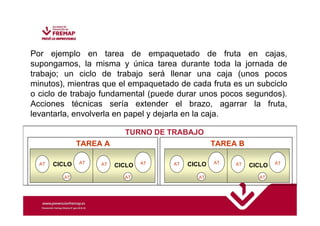 Por ejemplo en tarea de empaquetado de fruta en cajas, 
supongamos, la misma y única tarea durante toda la jornada de 
trabajo; un ciclo de trabajo será llenar una caja (unos pocos 
minutos), mientras que el empaquetado de cada fruta es un subciclo 
o ciclo de trabajo fundamental (puede durar unos pocos segundos). 
Acciones técnicas sería extender el brazo, agarrar la fruta, 
levantarla, envolverla en papel y dejarla en la caja. 
TURNO DE TRABAJO 
TAREA A TAREA B 
AT CICLO AT AT CICLO AT 
AT AT 
AT CICLO AT AT CICLO AT 
AT AT 
 