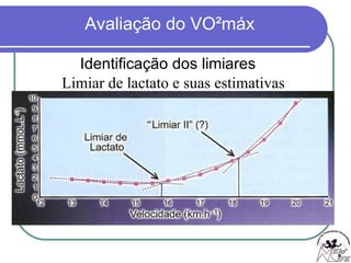 Identificação dos limiares Limiar de lactato e suas estimativas 